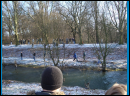 050129 leverkusen-vfl-04.JPG